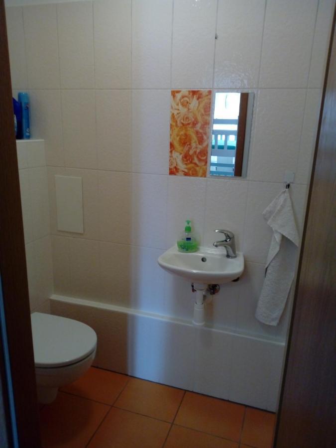 Apartman29 Lipno nad Vltavou Eksteriør bilde